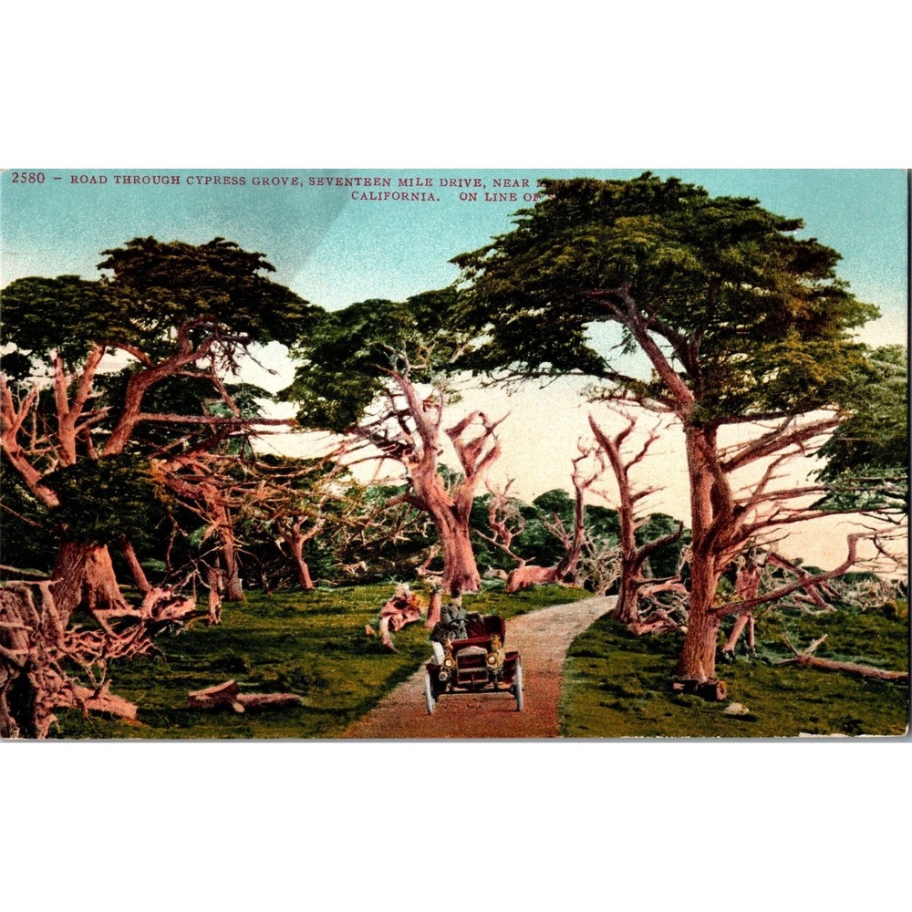 Vintage Cypress Grove Road Seventeen Mile Drive California Postcard‎